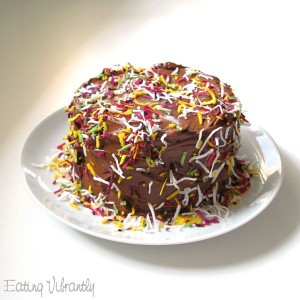 Raw chocolate cake with sprinkles